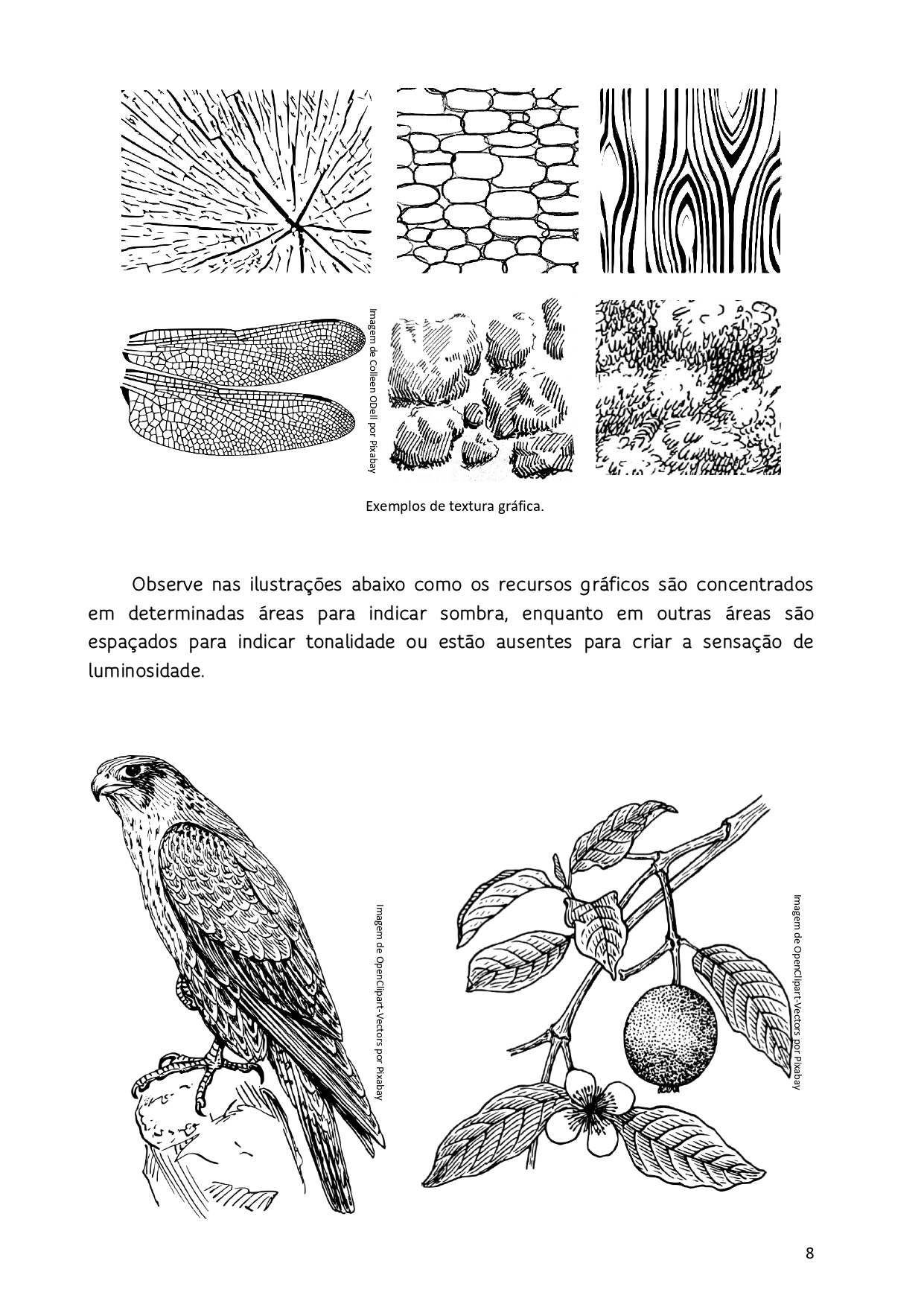 Arte - 8º ano - Imagem 7
